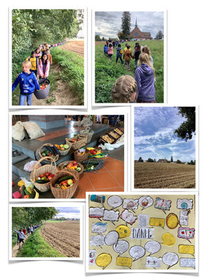 Klicken zum Vergrößern Klicken zum Vergrößern