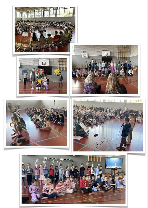 Klicken zum Vergrößern Klicken zum Vergrößern