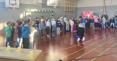 Klicken zum Vergrößern Klicken zum Vergrößern